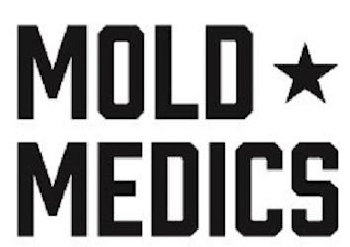 MOLD MEDICS logo