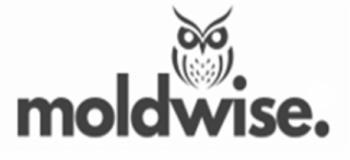 MOLDWISE. logo