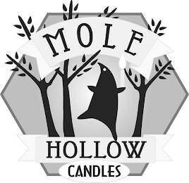 MOLE HOLLOW CANDLES logo