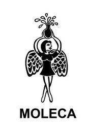 MOLECA logo