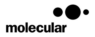 MOLECULAR logo