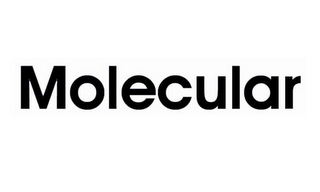 MOLECULAR logo