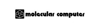 MOLECULAR COMPUTER logo