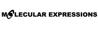 MOLECULAR EXPRESSIONS logo