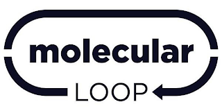 MOLECULAR LOOP logo