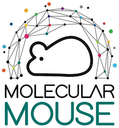 MOLECULAR MOUSE logo