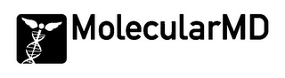 MOLECULARMD logo