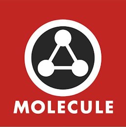 MOLECULE logo