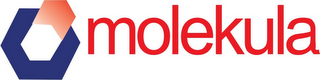 MOLEKULA logo