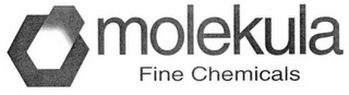 MOLEKULA FINE CHEMICALS logo