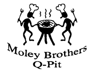 MOLEY BROTHERS Q-PIT logo