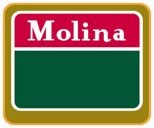 MOLINA logo