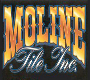 MOLINE TILE INC logo
