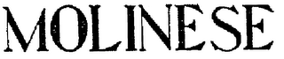 MOLINESE logo