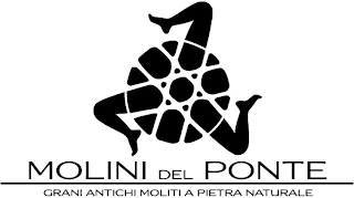 MOLINI DEL PONTE GRANI ANTICHI MOLITI A PIETRA NATURALE logo