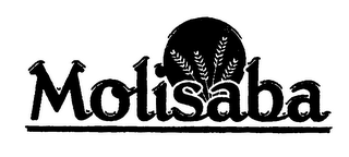 MOLISABA logo