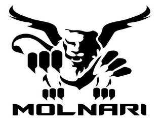 MOLNARI logo
