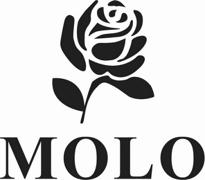 MOLO logo