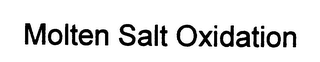 MOLTEN SALT OXIDATION logo