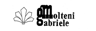 MOLTENI GABRIELE logo