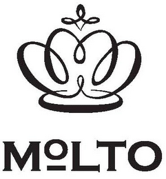 MOLTO logo