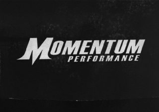 MOMENTUM PERFORMANCE logo
