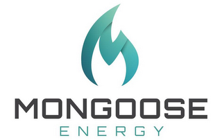 MONGOOSE ENERGY logo
