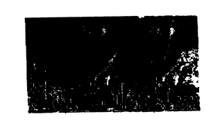 MONSTERTRACKS.COM logo