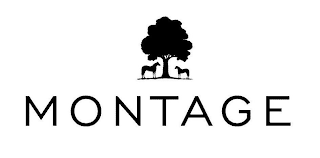 MONTAGE logo