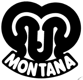 MONTANA logo
