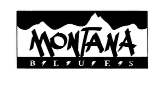 MONTANA B L U E S logo