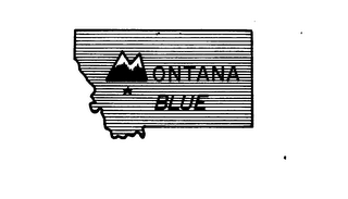 MONTANA BLUE logo
