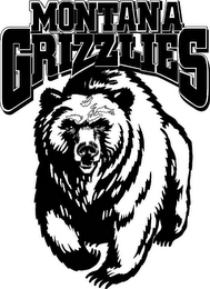 MONTANA GRIZZLIES logo