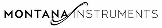 MONTANA INSTRUMENTS logo