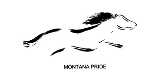 MONTANA PRIDE logo