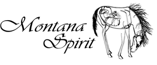 MONTANA SPIRIT logo