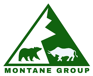 MONTANE GROUP logo