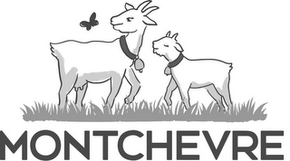 MONTCHEVRE logo