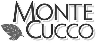 MONTE CUCCO logo