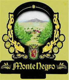 MONTE NEGRO logo