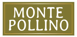MONTE POLLINO logo