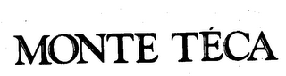 MONTE TECA logo