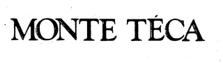 MONTE TECA logo