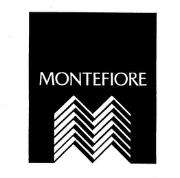 MONTEFIORE logo