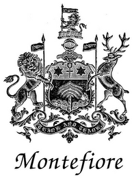 MONTEFIORE logo