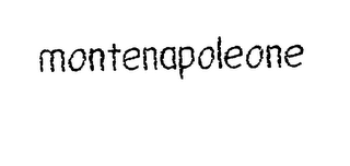 MONTENAPOLEONE logo