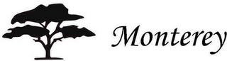 MONTEREY logo