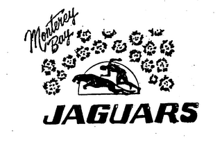 MONTEREY BAY JAGUARS logo