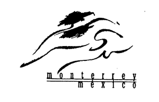 MONTERREY MEXICO logo