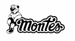 MONTES logo